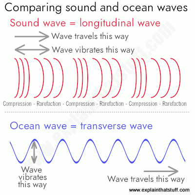 A line artwork comparing longitudinal sound waves and transverse ocean waves.