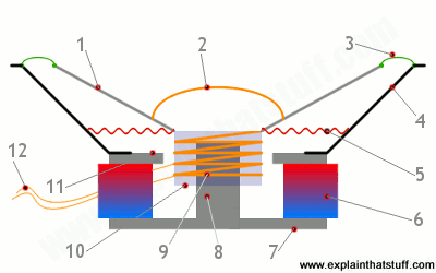 Labeled diagram showing the main parts of a typical moving coil loudspeaker.