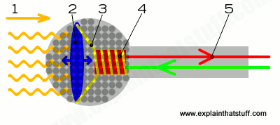 How a simple dynamic microphone works