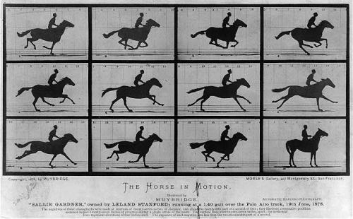 Muybridge photo sequence of galloping horse