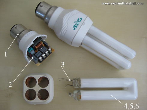 Photo showing parts inside a compact fluorescent lamp