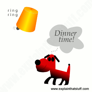 Cartoon art of a  dog listening to a bell ringing and thinking 'dinner time'