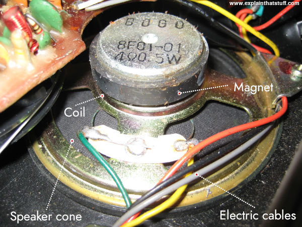 A 5-watt radio loudspeaker photographed from behind, showing the magnet and speaker cone.