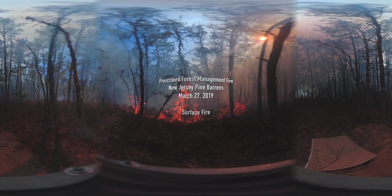 360° Video of Surface Fire during a Prescribed Burn in the New Jersey Pine Barrens on March 27, 2019 (Full Length)