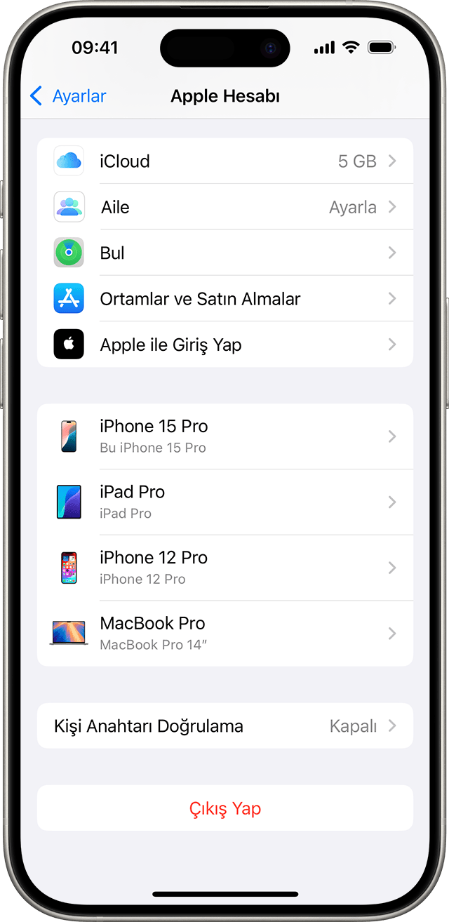 Çıkış Yap düğmesi, iOS'te Apple Hesabı ayarlarınızın alt kısmında bulunur.