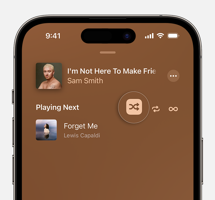 iPhone showing the Shuffle button at the top of Playing Next in the Apple Music app