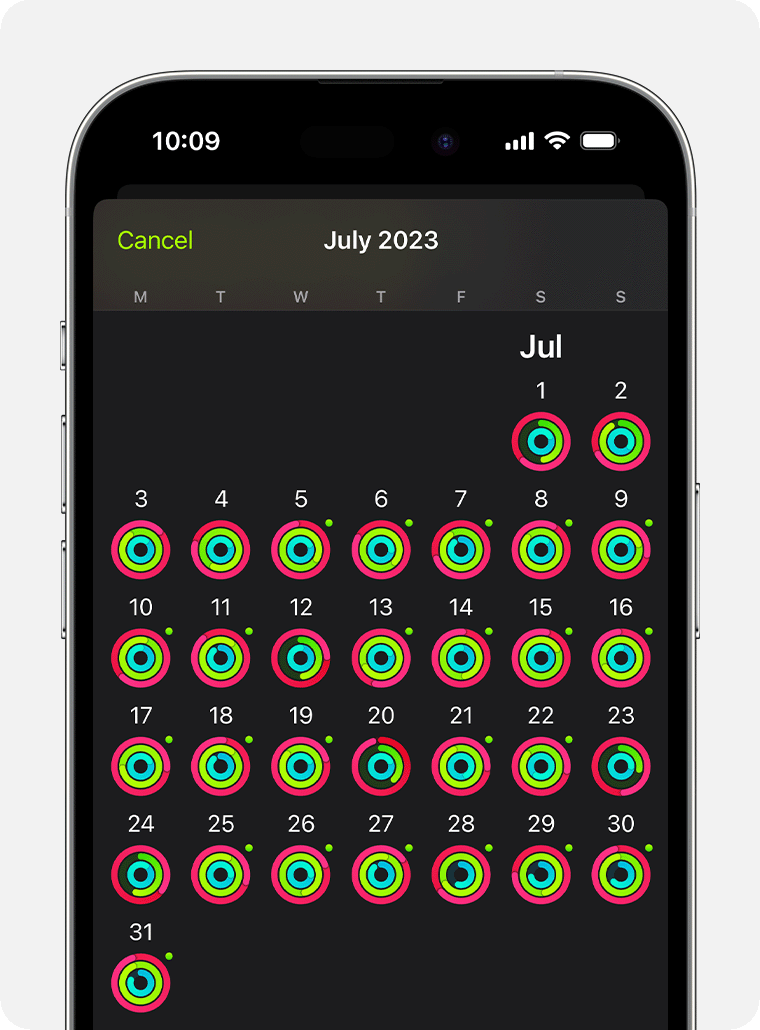 iPhone screen showing the overall activity summary for the month