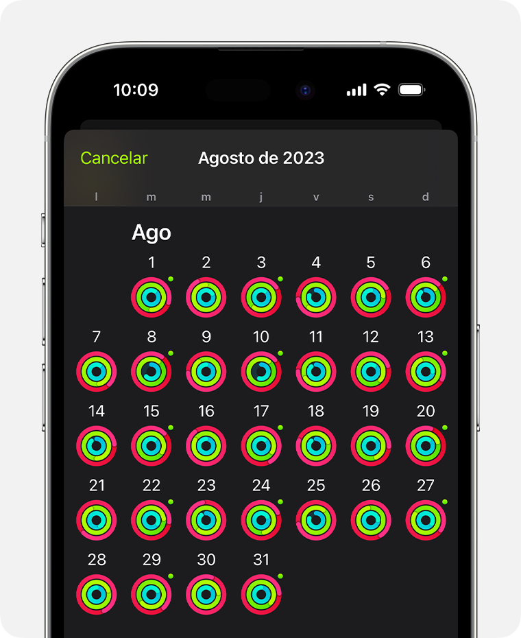 Una pantalla de iPhone en la que se muestra el resumen general de la actividad del mes