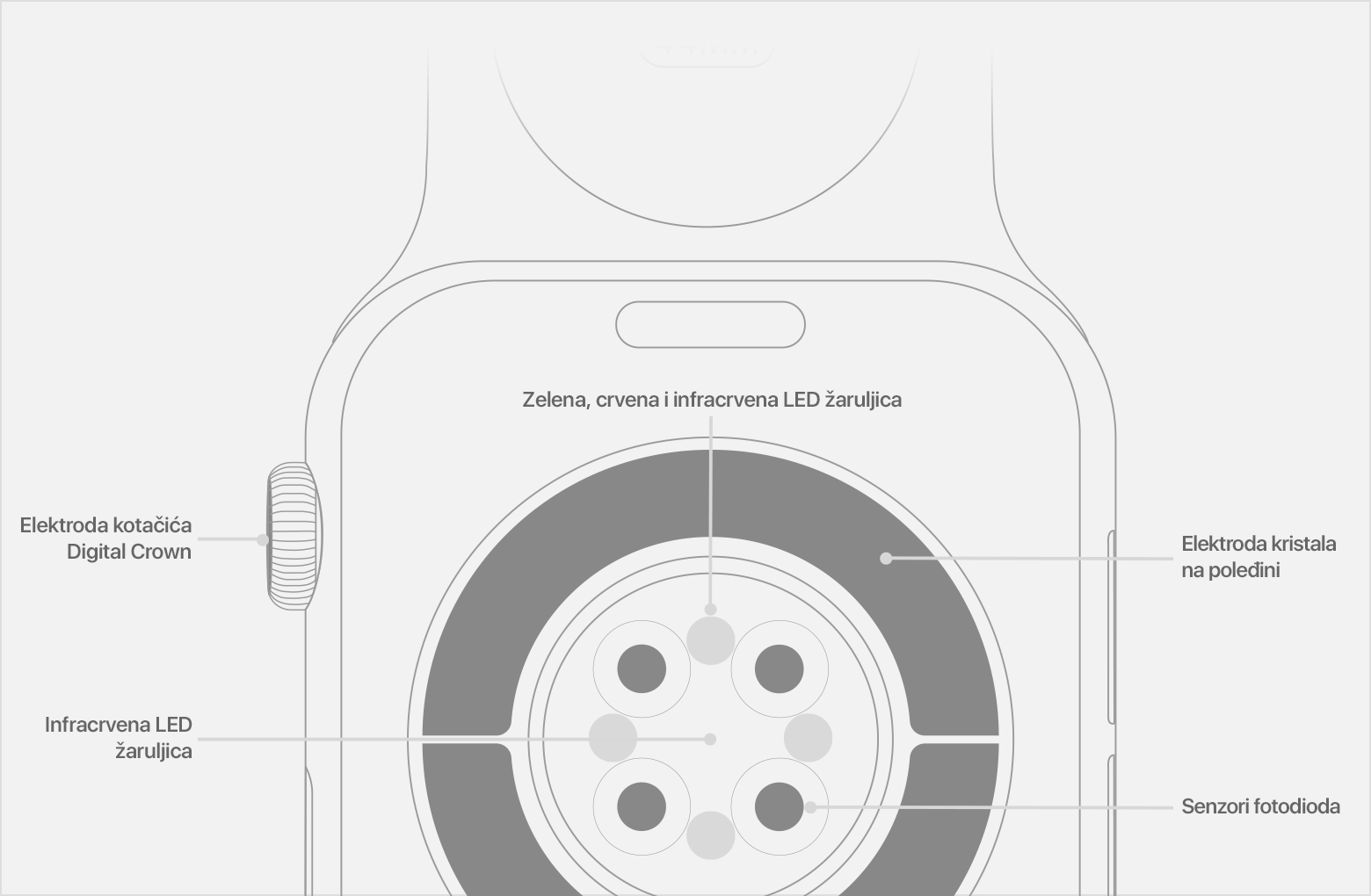 apple-watch-series6-measure-sensors