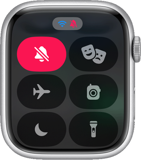 watchos-10-series-8-control-center-mute