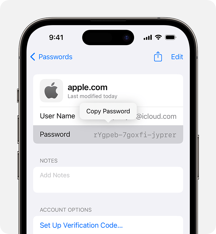 ios-17-iphone-14-pro-settings-passwords-copy-password