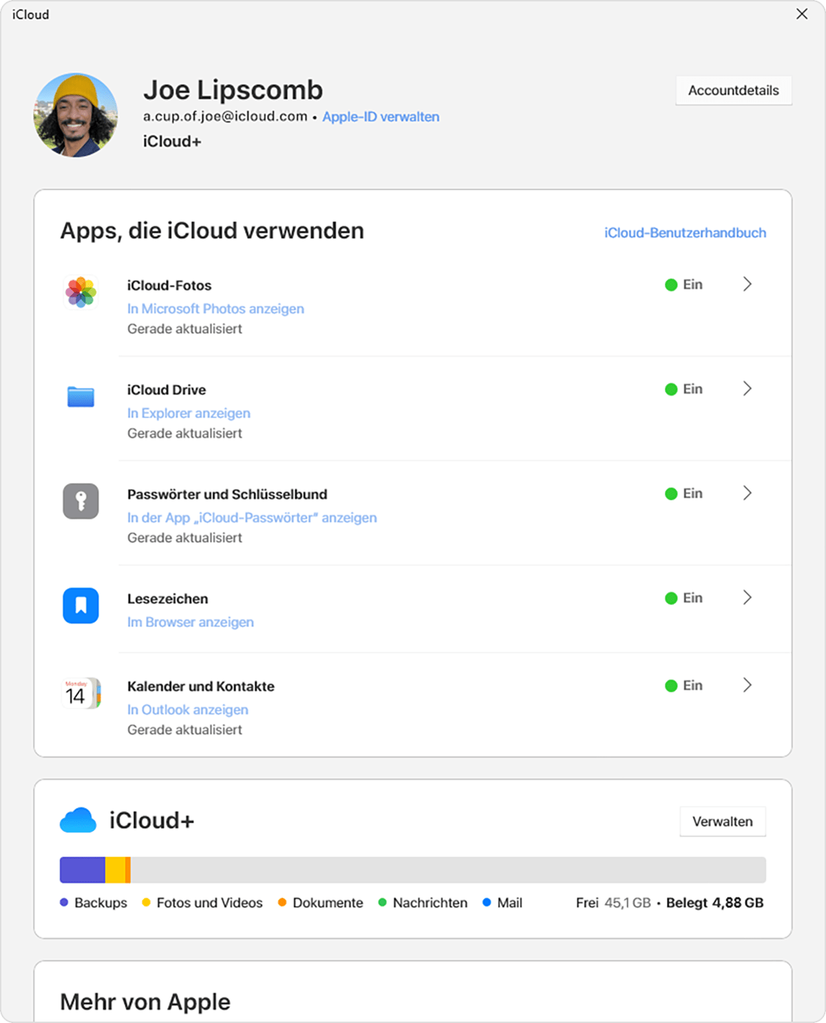 Die Verwalten-Taste befindet sich über der Grafik, die anzeigt, wie viel iCloud-Speicher du belegt hast.