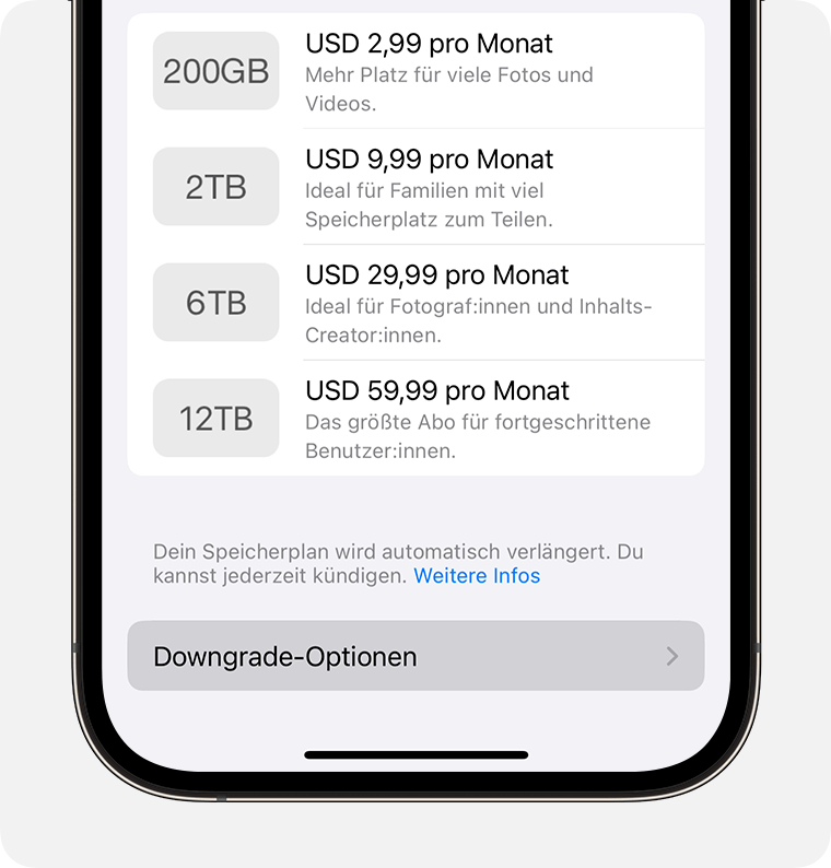 „Downgrade-Optionen“ befindet sich unter der Liste der verfügbaren Speicheroptionen.