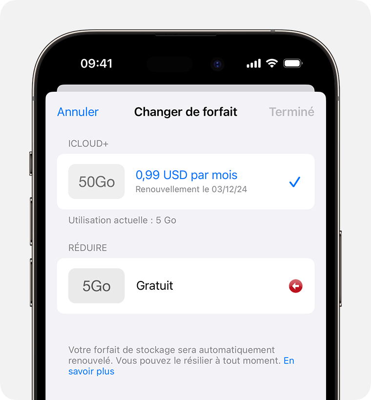Les options Choose Downgrade (Choisir un forfait réduit) se trouvent sous le forfait iCloud+ actuel.