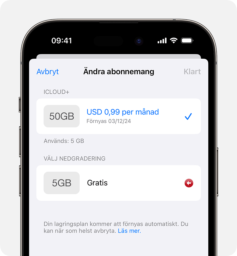 Välj Nedgraderingsalternativ finns under nuvarande iCloud+-plan.