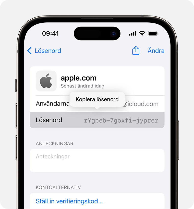 ios-17-iphone-14-pro-settings-passwords-copy-password