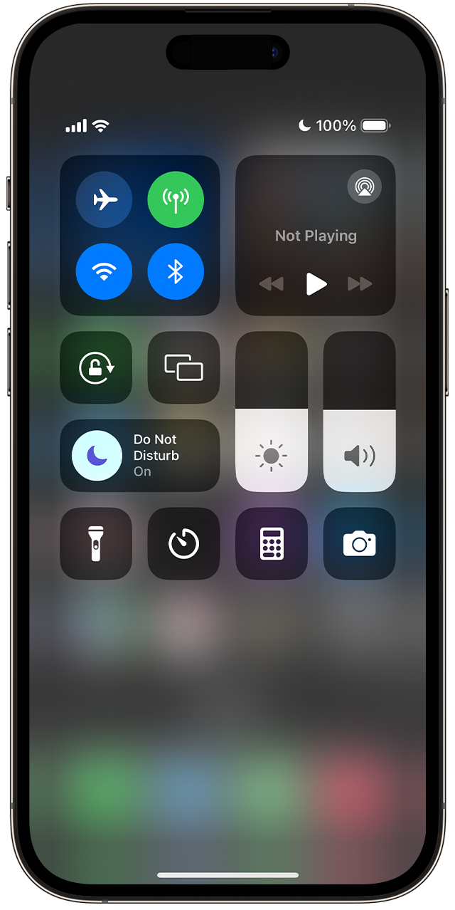 In Control Centre, the Do Not Disturb icon will appear when that Focus setting is turned on.