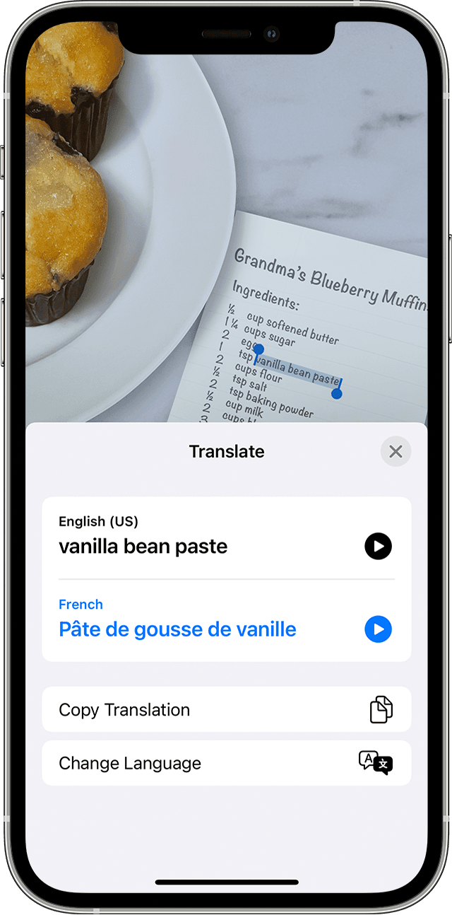 Using Live Text to translate a Blueberry Muffin recipe ingredient 