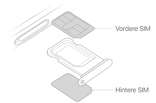 iphone-dual-sim-illustration-line-drawing