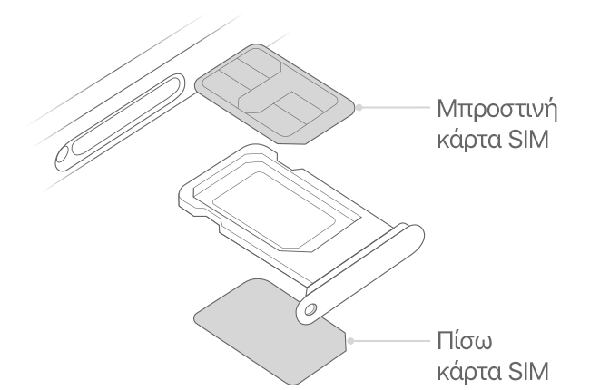 iphone-dual-sim-illustration-line-drawing