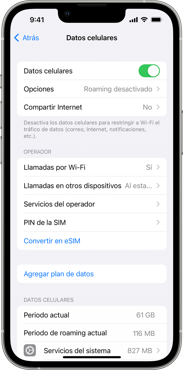 Una pantalla de iPhone en la que se muestra la configuración de los datos móviles