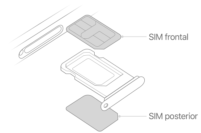 iphone-dual-sim-illustration-line-drawing