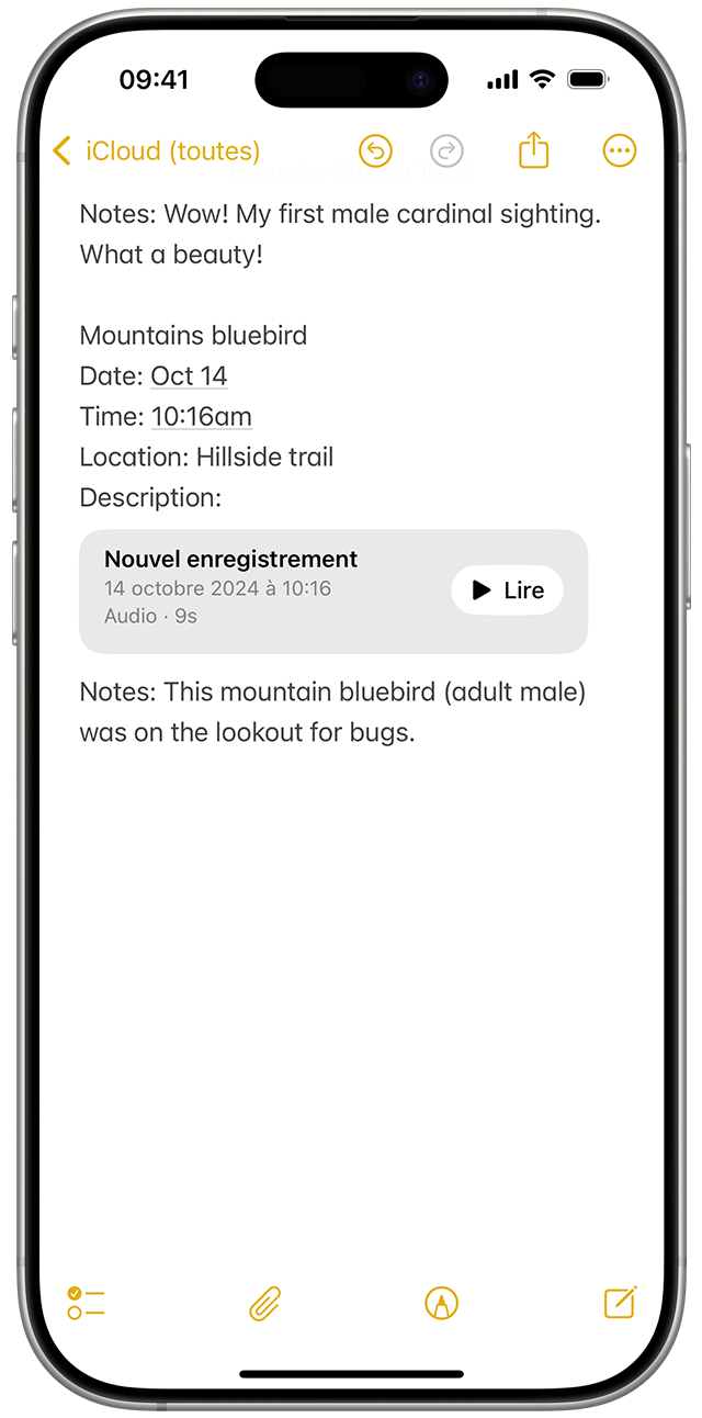 Lorsque vous enregistrez du contenu audio dans Notes sous iOS 18, l’enregistrement apparaît en pièce jointe dans votre note ouverte.