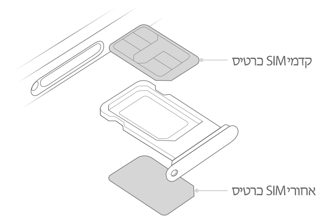 iphone-dual-sim-illustration-line-drawing