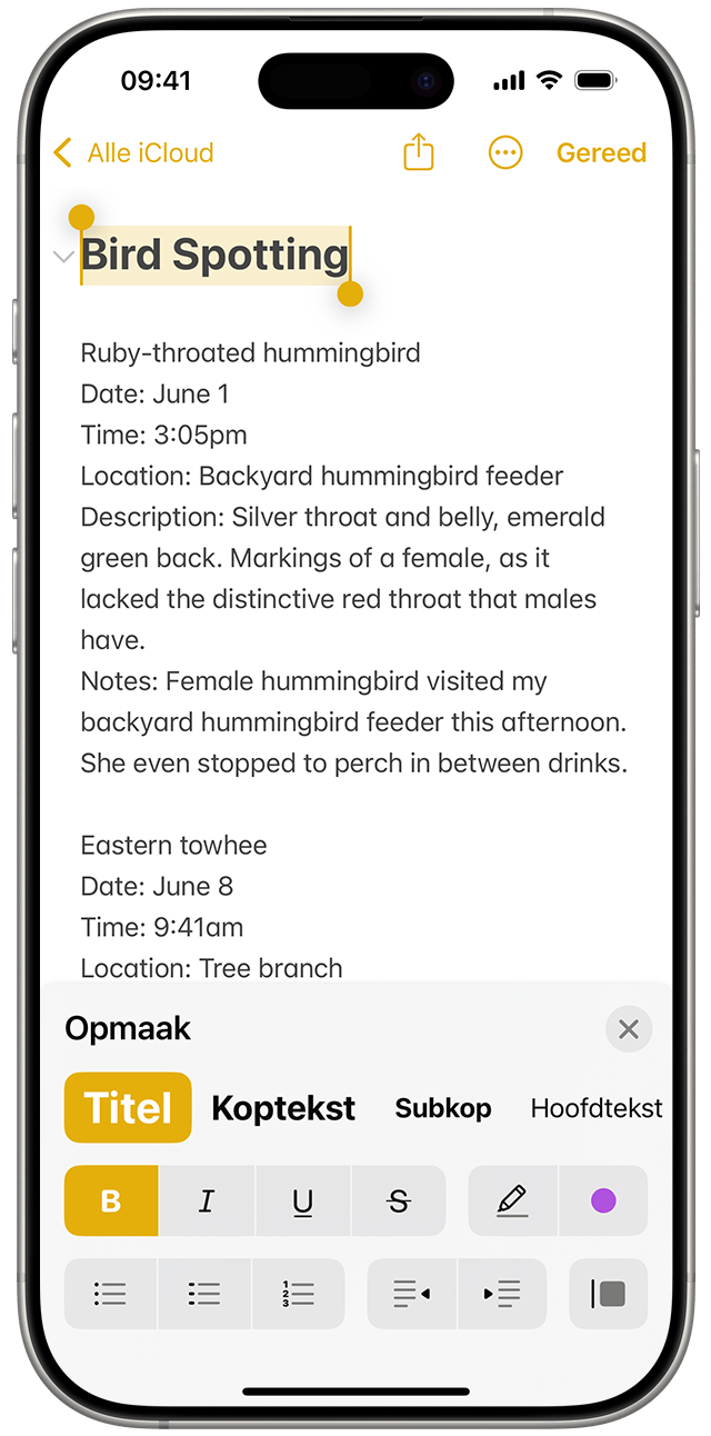 In iOS 18 markeer je in Notities tekst en tik je vervolgens op de knop 'Opmaak' om opties zoals cursief of kopstijlen weer te geven.