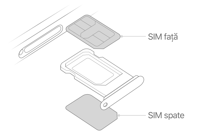 iphone-dual-sim-illustration-line-drawing