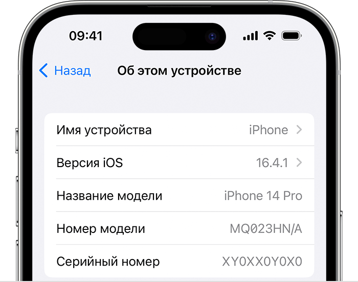 Экран «Об этом устройстве» на iPhone.