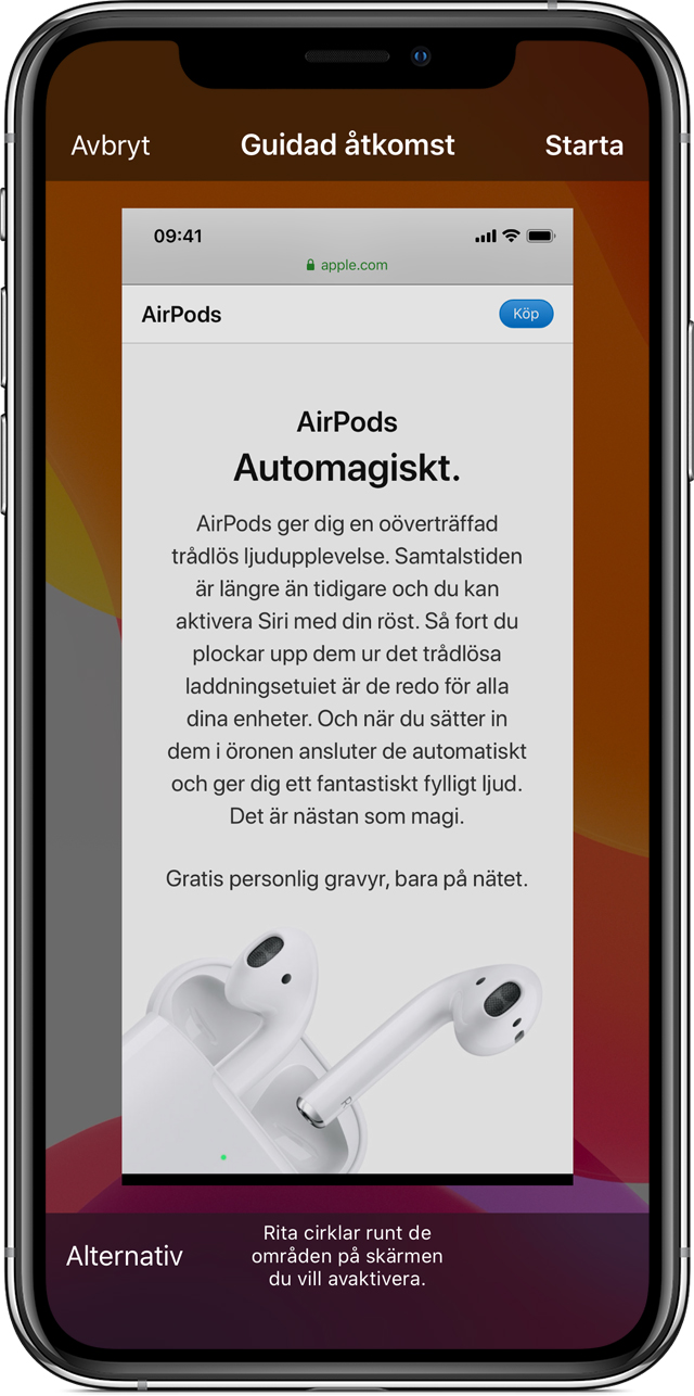  ios13-iphone-xs-settings-accessibility-guided-access-safari