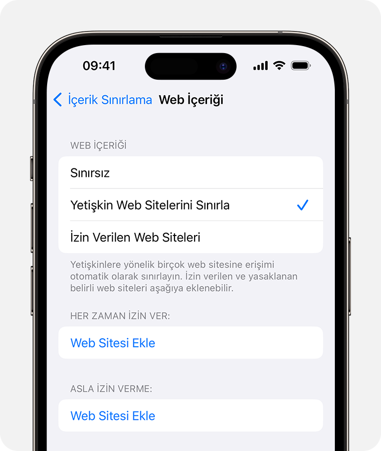 Ebeveyn denetimleri için Web İçeriği seçeneklerini gösteren iPhone ekranı