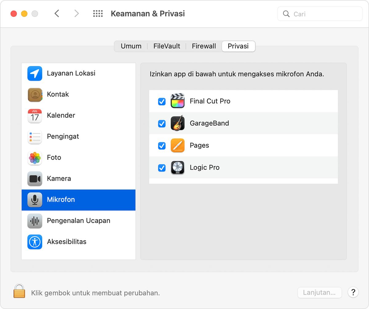 macOS Security & Privacy preferences Privacy tab with Microphone selected