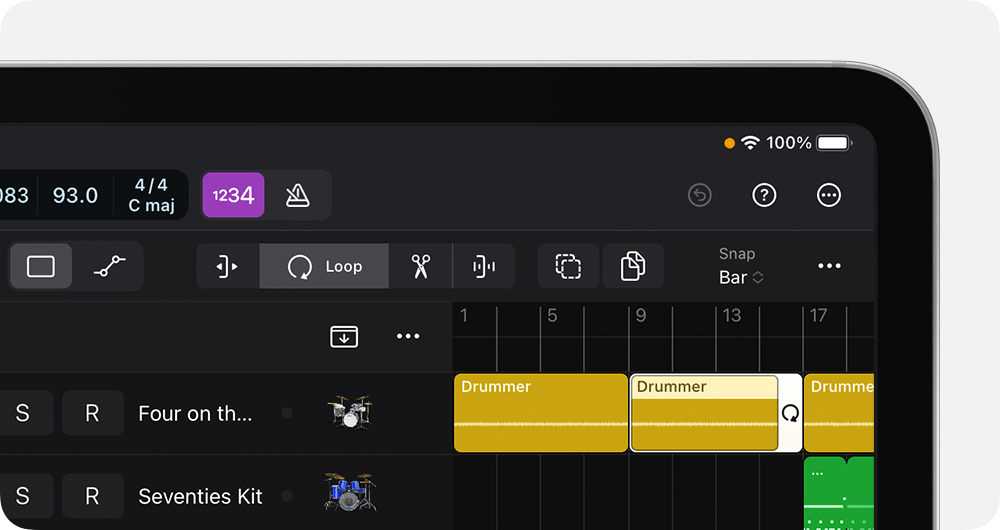 Tracks area showing Loop tool enabled.