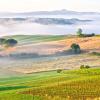 Villas in Tuscany