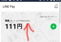 LINE Payの画面のこのボーナス20円を含むとはなんでしょうか？実際この金は残高にはいってないんですが。 