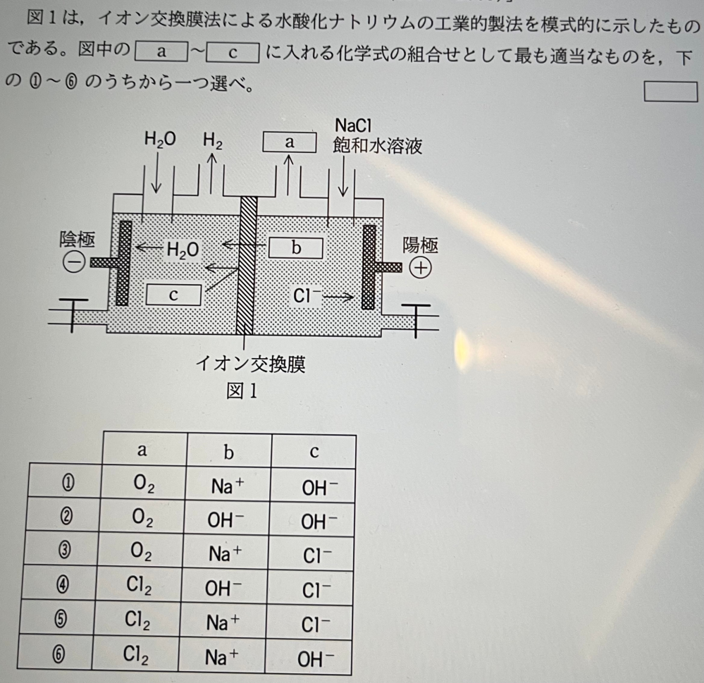 化学の質問です。 解答ではイオン交換膜が、陽イオン交換膜という前提で書かれていたのですが、そうゆうもんなのですか？