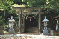 夜になると無性に神社に行きたくなるのですが、これは何ですか？

何か分からないけどエネルギーが溢れてる感じがあって、行きたくなるのです。 