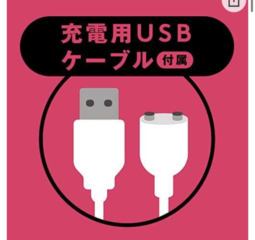 この充電器を買いたいのですが、 これは家電量販店でも取り扱いのあるものでしょうか？