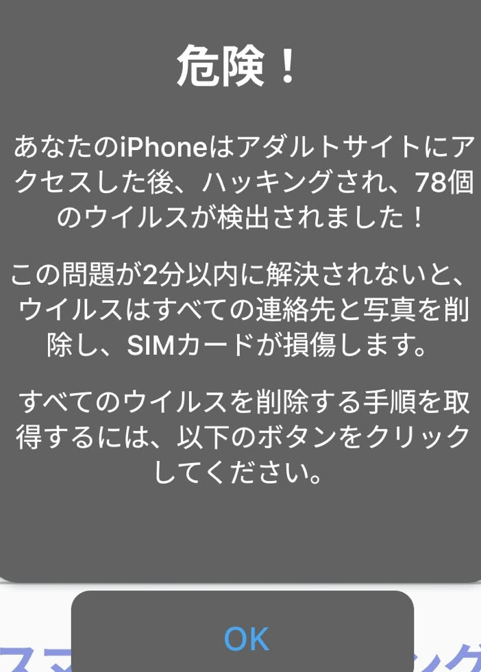 大至急です！！ 急にスマホに下の写真のような表示が出たんですけど放っておいて大丈夫ですか！？！？ こんなサイトアクセスしてないし、写真とか消えるってほんとですか？！なんですかこれ？！対処法教えてください泣泣