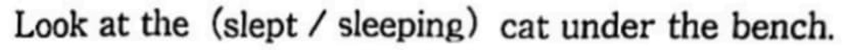 英語 分詞について、至急です。 この文で、sleepingがcatの前にあるのはなぜですか？ cat ［sleeping under the bench］. ［sleeping under the bench］が形容詞句になって、2語以上だからsleepingはcatの後ろにはなりませんか？