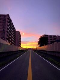 朝早くに車道の真ん中で写真をとりました。車が走っていないタイミングでも、車道に入ってはいけませんよね？ SNSにあげようか迷いましたが、こんなものあげたら下手したら問題になりますよね？