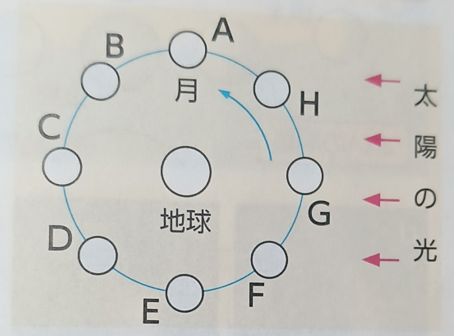 月の満ち欠けについてです 満月をみることができるのは夜だけなのでしょうか 詳しく教えて頂きたいです( _ _)"