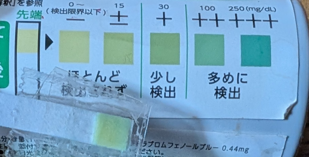 猫に尿蛋白検査シートを使ったところ、写真のような色味になりました。 おしっこを含ませたガーゼの方はシートから離した時点で緑色の着色があり、シートは縁の辺りだけ色が濃く出ています。 信じたくないですが、猫の腎臓がすぐにでも危ないのでしょうか。 猫は14〜15歳の子で、他にも13歳の子がいて、その子たちも検査しないといけません。 普通のご飯、懐石のキャットフードもあげられないのでしょうか…。 宜しくお願いします。