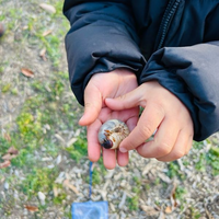 カブトムシの幼虫とダンゴムシについて
 
 今子供がダンゴムシを飼っています。
数も増えてしまって何匹いるかわからないですが、いっぱいいます。 先週近所の山でカブトムシの幼虫を見つけたので持って帰ってきてダンゴムシの入ってるケースに入れました。
 他に虫のケースがなかったので今もそのままですが、
 ダンゴムシはカブトムシの幼虫を食べたりしますか？