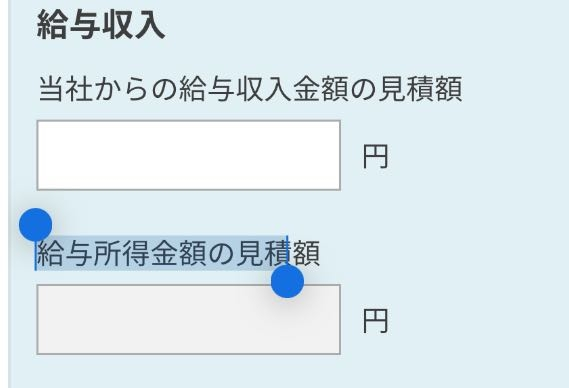 至急ですm(._.)m 年末調整についての質問なのですが、写真2項目の違いを教えていただきたいです。 今年稼いだ額をどちらも入れれば良いのでしょうか？？ アルバイトの年末調整です。