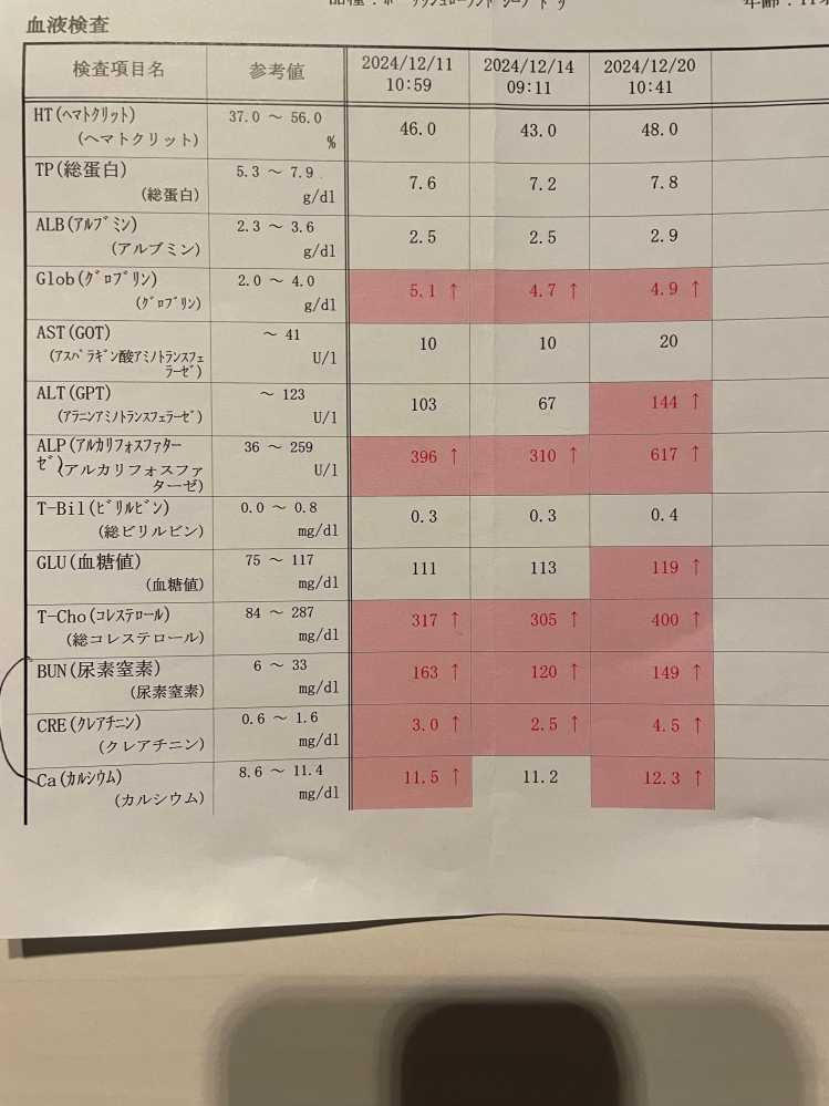 愛犬の慢性腎不全について質問です。 犬種はポーリッシュローランドシープドックで現在11歳、体重15.6Kgの女の子です。 以前こちらの知恵袋で犬の腎不全に関しての質問があった際、nfkさんのお答えがとても 為になり質問することに致しました 以前膵臓を悪くした時があり、今回もご飯を食べなくなり、水を飲んでは嘔吐する日が数日あった為、病院にいき検査をしたところ、腎臓の数値が悪いと言われて点滴をしてもらってます。 現在治療中ですが、皮下点滴を500cc、中に薬をプレドニゾロン、アンビシリン、強力ネオミノファーゲンシー、シーパラ、ビタミンB12、フォリアミン、セレニア、 タガメット、バントシン等、ステロイドや吐き気止めなどが入った点滴を毎日行っています。 最初の血液検査で、BUN163、クレアチニン3.0、カルシュウム11.5でしたが、 ４日間の点滴後の検査でBUN120、CRE2.5、Ca11.2まで下がってきたのですが、その後６日間の点滴後の検査でBUN149、CRE4.5、Ca12.3と数値が上がってきてしまいました。食欲がなく、ステロイドの後遺症で少しずつですが消化器サポート小粒、かんずめ、鶏ささみ等少しずつ食べてる状態です。ささみが良くないのは知ってますが、好んで食べるので、一日２本まであげてます。食べなければリンゴやプリン、カステラなども食べさせてみてくださいと言われましたが大丈夫でしょうか？体重も少しずつですが落ちてきてます。 飲み薬は、エースワーカー２、ビモべハート5mg、ネフガードをチュールに混ぜて飲ませてます。以前のメールでフォルテコールが良いと書いてあったので、聞いたらビモべハートが同じ効果だと聞きましたがどうなんでしょうか。リン吸着剤の炭酸ランタンが良いと書いてあったので聞いたら、カリナールコンボを渡されました。 透析も考えましたが、リスクがあると聞いて悩んでます。 このままこの治療を継続していても大丈夫なのでしょうか。nfkさん他、皆様からご教示頂けたらと存じます。宜しくお願い致します。