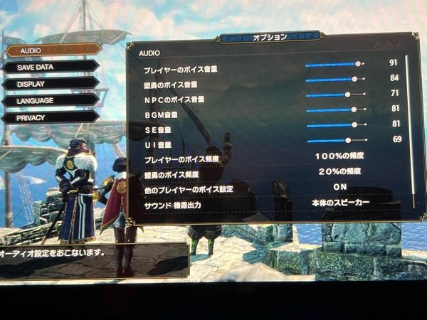 モンハンライズサンブレイクのオーディオ設定について 細かい設定がわかりません。 どなたか詳しく教えてください。 噛み砕いてそれぞれ教えて欲しいです。 (画像から文字コピペしたので半濁点変ですがすみません) プレイヤーのポイス音量 (これは他の参加プレイヤーも指しますか？) 盟勇のポイス音量 NPCのポイス音量 BGM音量 SE音量 U I音量 どれが環境音、打撃音、モンスターの咆哮音 衝撃音、環境生物の鳴き声、そういう細かいのがわかりません。 あと、 プレイヤーのヒットエフェクト プレイヤー以外のヒットエフェクト これは斬撃などの光のことですか？ それともダメージ数のことですか？ プレイヤー以外というのは敵という意味なのか 自分以外のキャラクターand敵という意味なのか… 教えてください。よろしくお願いします。