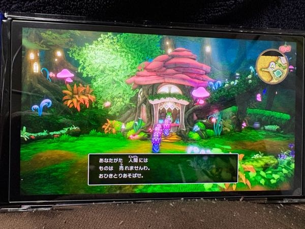 ドラゴンクエスト3HD2Dについて質問です。 へんげのつえを入手しエルフの里へ行き、道具を買おうとしたのですが、画像の通り買えません。 これはエルフじゃないんですか？ 何度も使用しましたか、エルフっぽいのはこれでした。